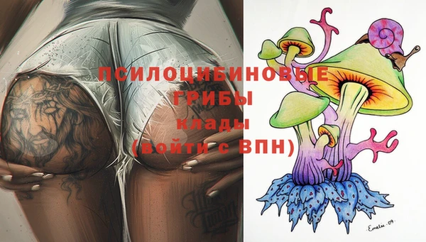трава Надым