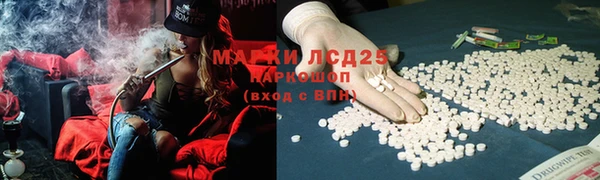 трава Надым