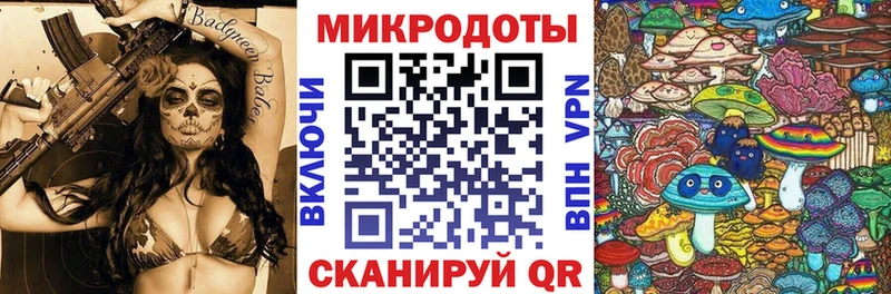 купить Кяхта Псилоцибиновые грибы мицелий