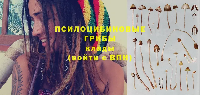 Галлюциногенные грибы мухоморы  blacksprut ССЫЛКА  Кяхта  где купить наркоту 